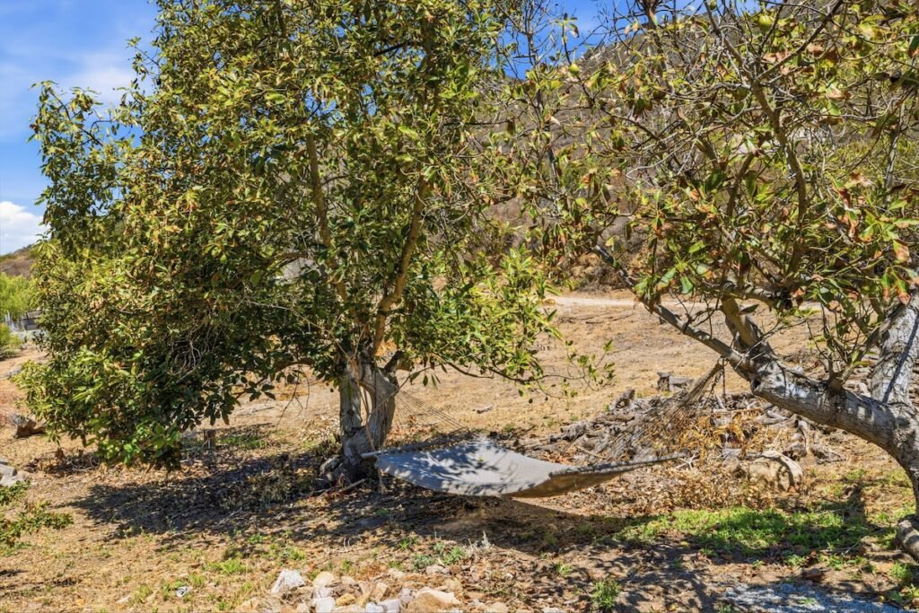 Avocado Escape — Hot Tub + Oasis + Casita + RV photo 31