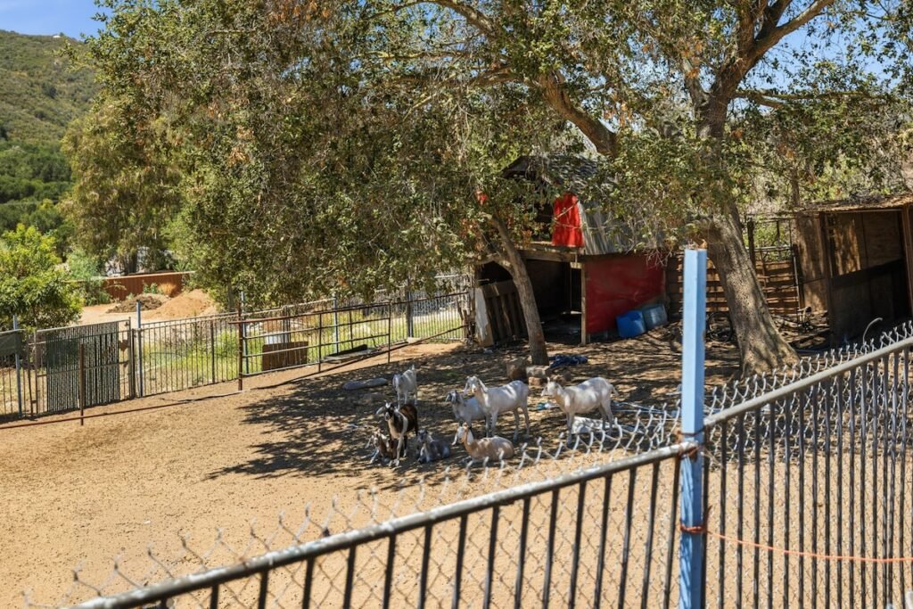 Avocado Escape — Hot Tub + Oasis + Casita + RV photo 72